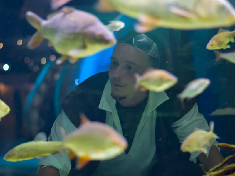 Bereit, das Abenteuer auszuprobieren?