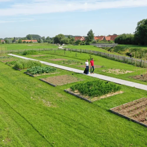 Potager conservatoire de la Maison du Marais