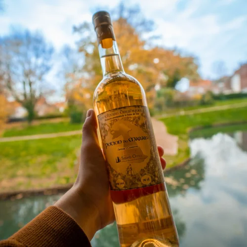 Potion du Marais
