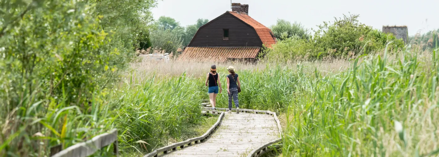 Randonnées dans le marais Audomarois et autour de Saint-Omer