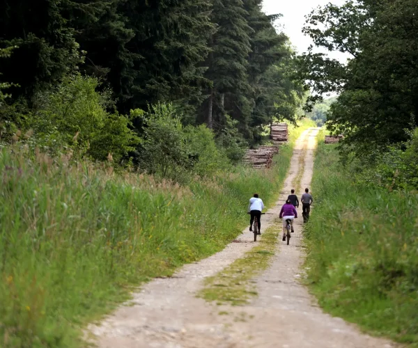 Wandern Sie in der Gegend von Saint-Omer