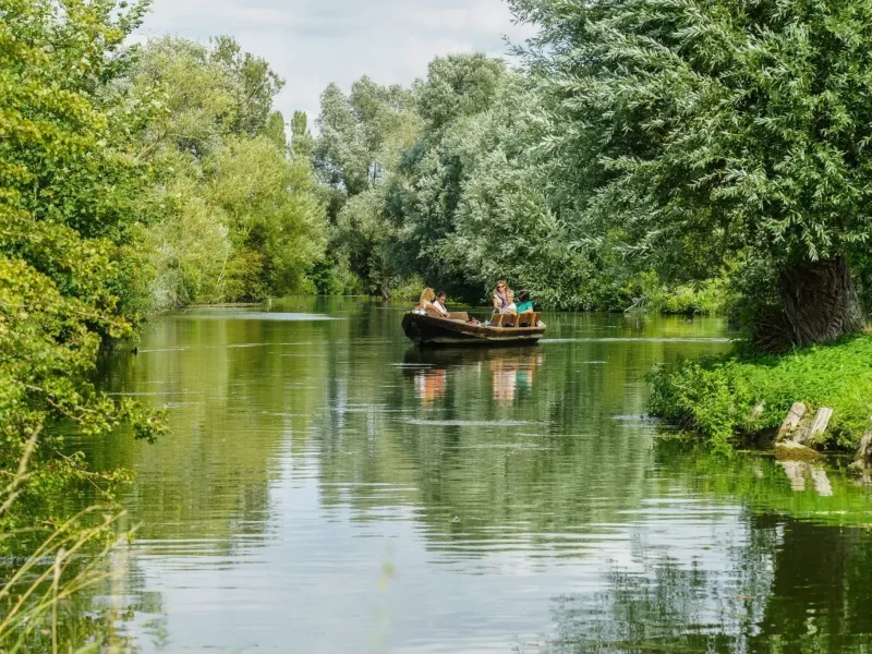 Le marais Audomarois sauvage
