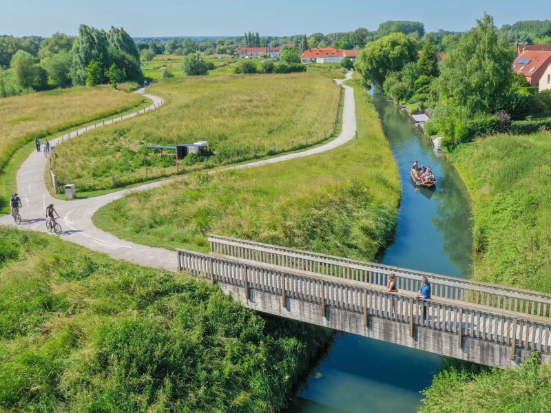 Bacôve glissant entre les arbres et la végétation du marais Audomarois.