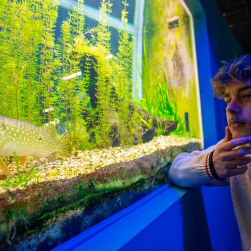 Aquarium exposition