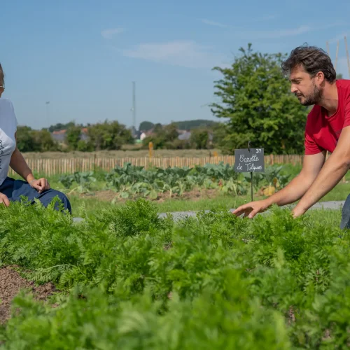 Potager conservatoire de la Maison du Marais